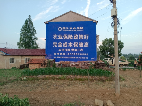 清镇墙体广告为何受追捧？